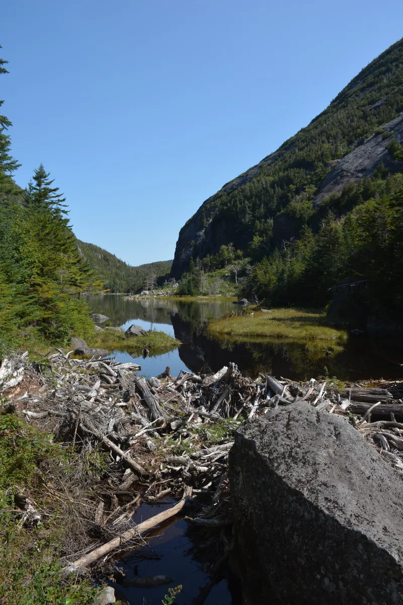 Avalanche Pass, Adirondack Mountains